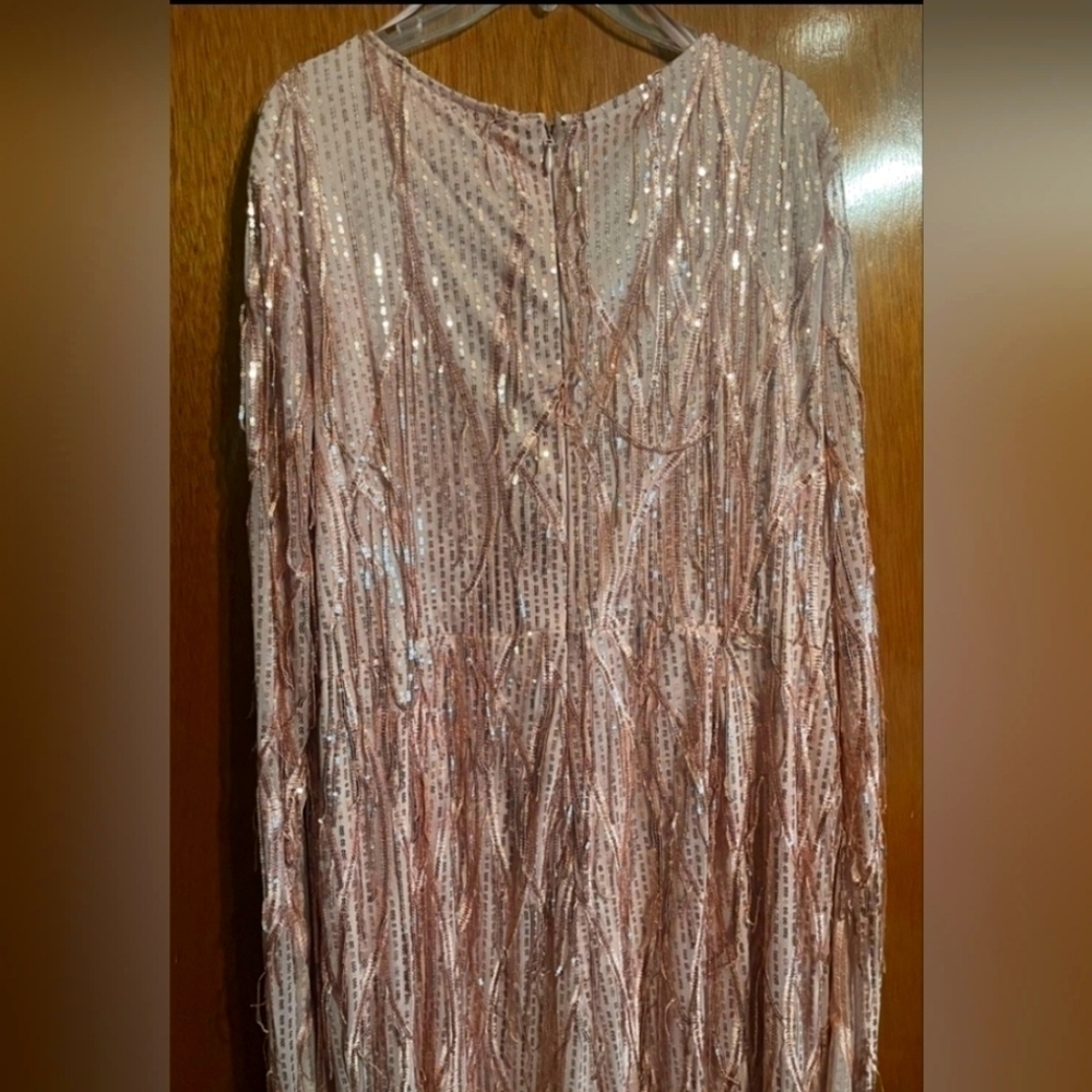Black Label Eva Sequin Fringe Jumpsuit - Picture 3 of 5